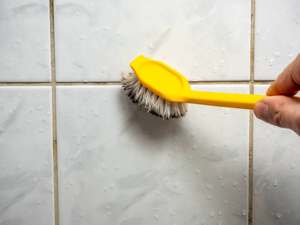Best Commercial Mold Remediation in Westlake Vlage, IL