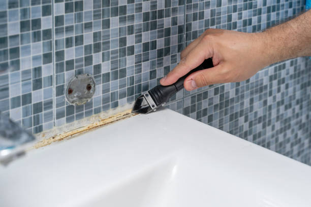 Best Mold Remediation for Schools in Westlake Vlage, IL
