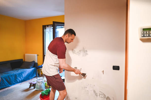Best Emergency Mold Remediation in Westlake Vlage, IL